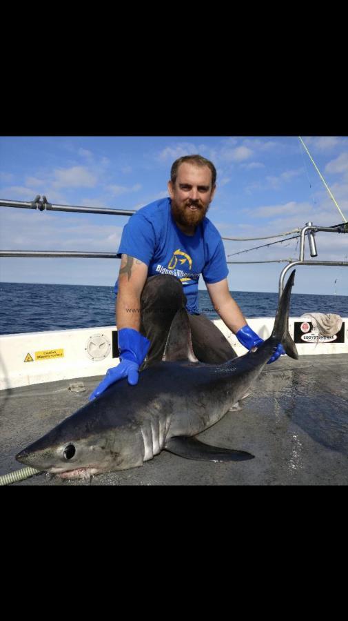 91 lb Porbeagle by Skipper lee williams