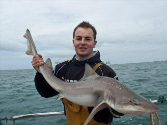 20 lb 8 oz Starry Smooth-hound by Lee