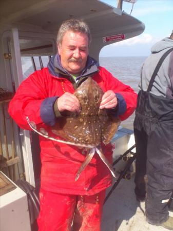 7 lb Thornback Ray by cameron stewart