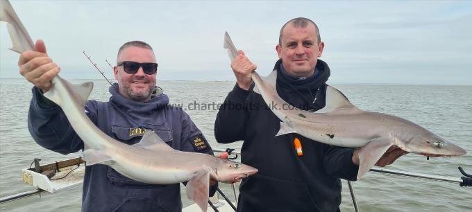 11 lb Starry Smooth-hound by John