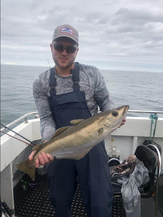 7 lb 8 oz Pollock by Unknown
