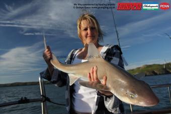 14 lb Starry Smooth-hound by Gina
