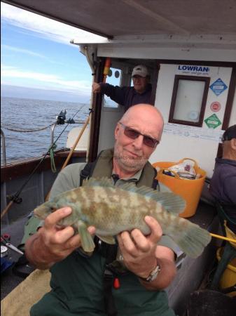 2 lb 8 oz Ballan Wrasse by Clive