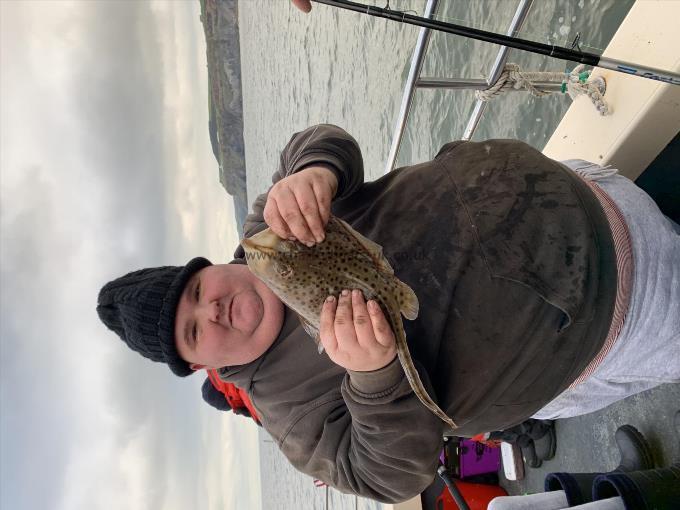 1 lb 5 oz Blonde Ray by Ben yull