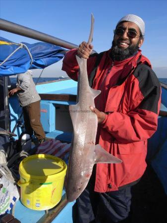 9 lb 4 oz Starry Smooth-hound by Unknown