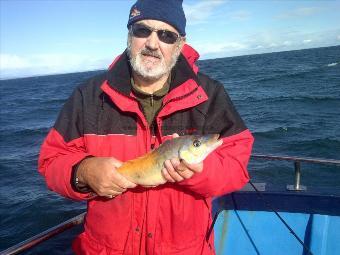 2 lb 1 oz Cuckoo Wrasse by brian