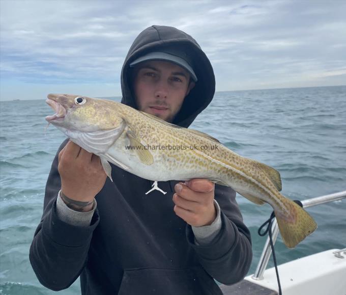 4 lb Cod by Unknown