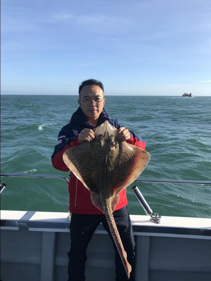 8 lb Undulate Ray by Unknown