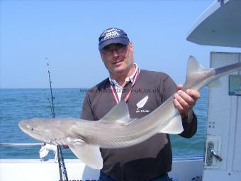 14 lb Smooth-hound (Common) by Jim