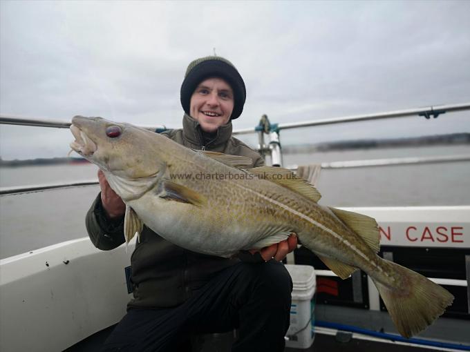 14 lb 2 oz Cod by Unknown