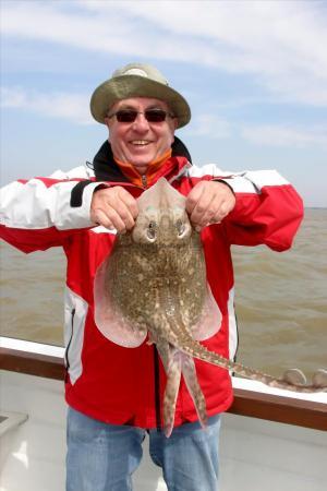 5 lb Thornback Ray by Scott Belbin