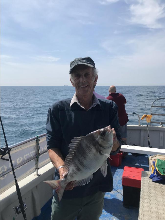 3 lb 8 oz Black Sea Bream by MR Winters