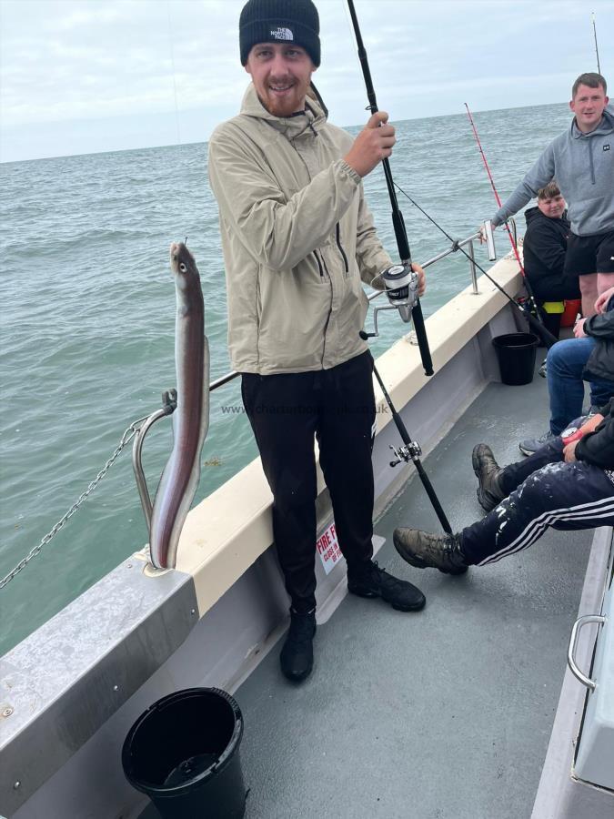 7 lb Conger Eel by Unknown