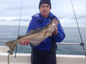 8 lb 6 oz Pollock by Stuart Bussy