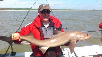 17 lb 8 oz Starry Smooth-hound by ian painter odyessey sac