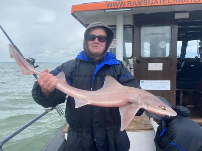 6 lb Smooth-hound by Unknown