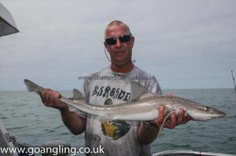9 lb Starry Smooth-hound by Keith