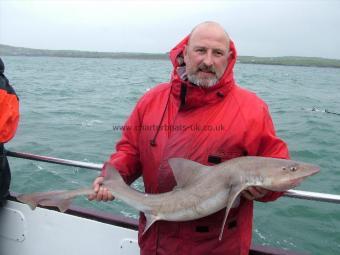 16 lb Smooth-hound (Common) by Steve H