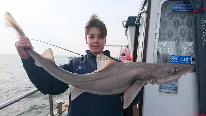 12 lb 5 oz Starry Smooth-hound by Billy from London