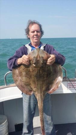 14 lb Undulate Ray by Unknown