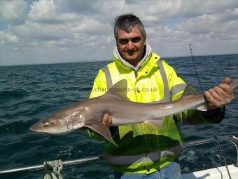 12 lb 2 oz Smooth-hound (Common) by Brian Taylor