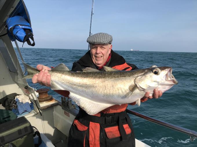 11 lb Pollock by Richard Bagg