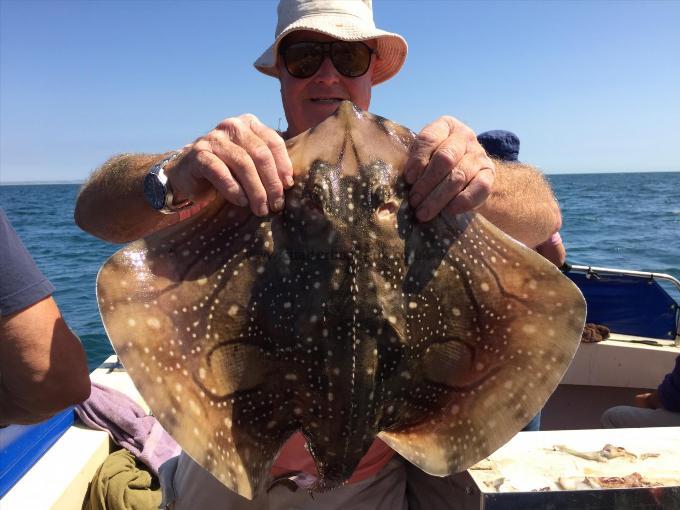 10 lb Undulate Ray by Tony Burford