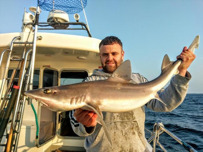 8 lb 5 oz Starry Smooth-hound by Unknown