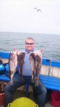 3 lb 5 oz Cod by Unknown