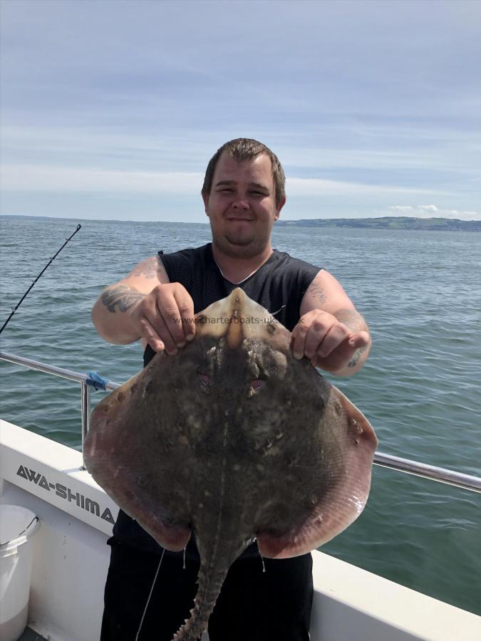 6 Kg Thornback Ray by Ray Crowe