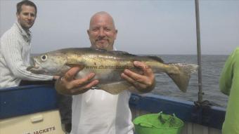 4 lb Pollock by Paul Thompson