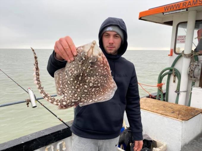 3 lb Thornback Ray by Unknown