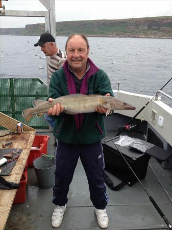 9 lb Ling by Arthur