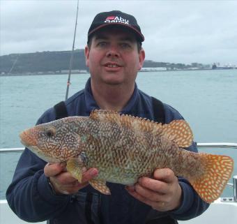 5 lb Ballan Wrasse by Eddy Taylor