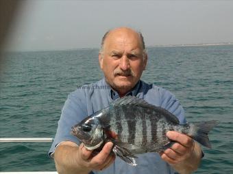 2 lb 2 oz Black Sea Bream by yours truly