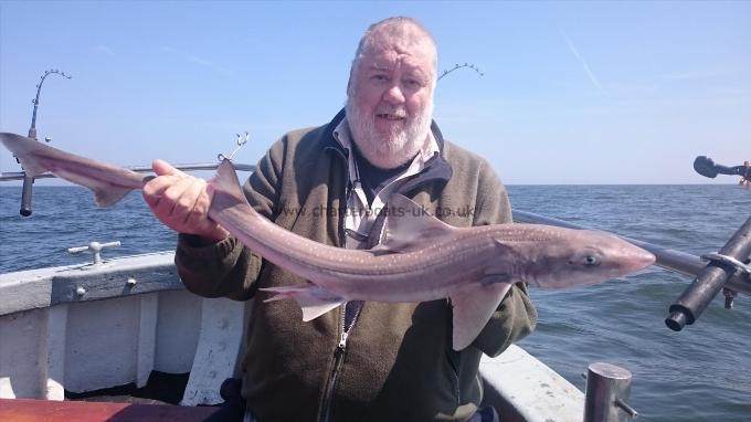 5 lb 6 oz Starry Smooth-hound by John Flight