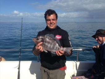 3 lb 2 oz Black Sea Bream by Darren Herbert