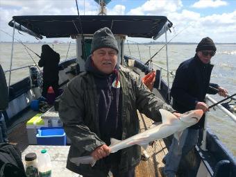 4 lb Smooth-hound by Billy