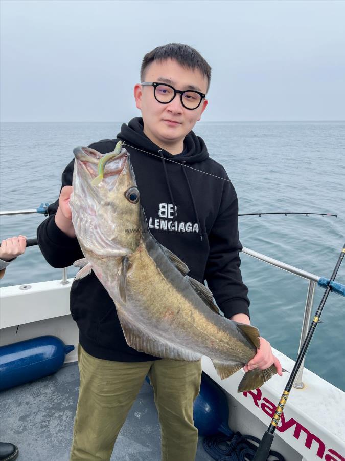 12 lb 8 oz Pollock by Yiwei Chang