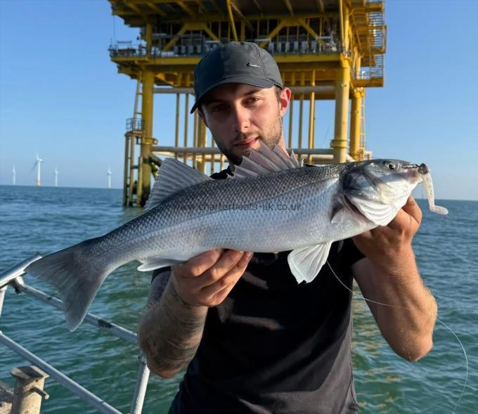 4 lb Bass by Unknown