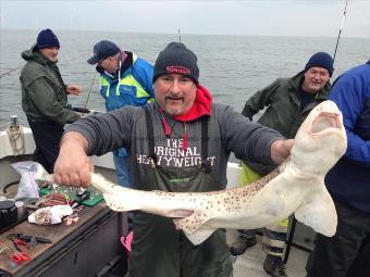 14 lb 2 oz Bull Huss by Anthony Parry