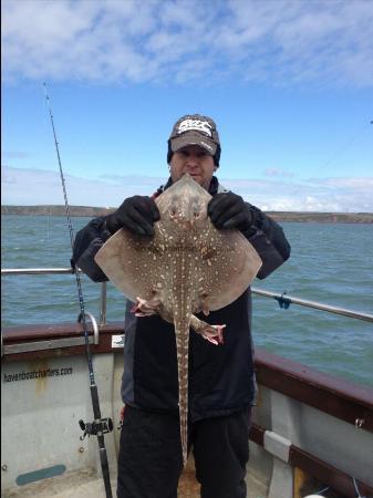 6 lb 8 oz Thornback Ray by Lee S