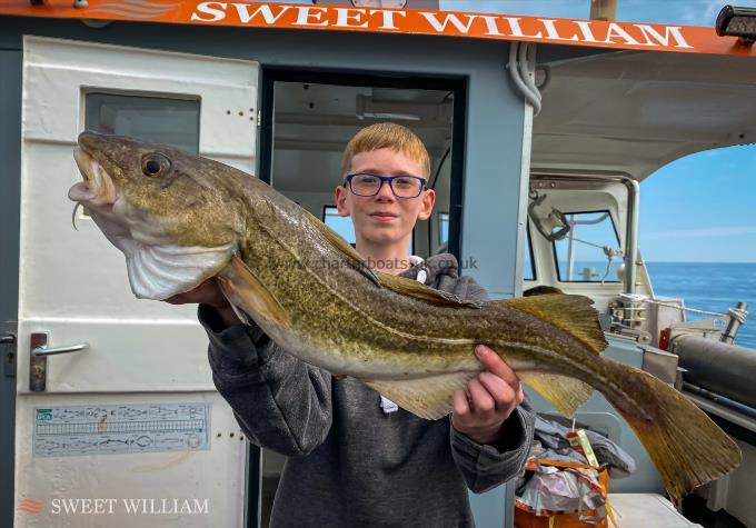 7 lb Cod by Henry Sharp