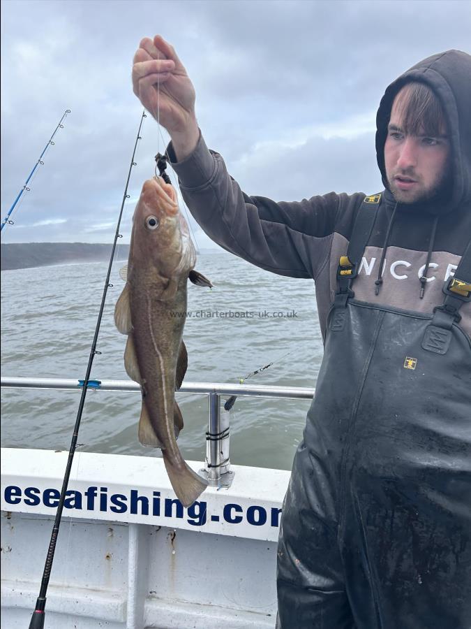 2 lb 11 oz Cod by Fergus.