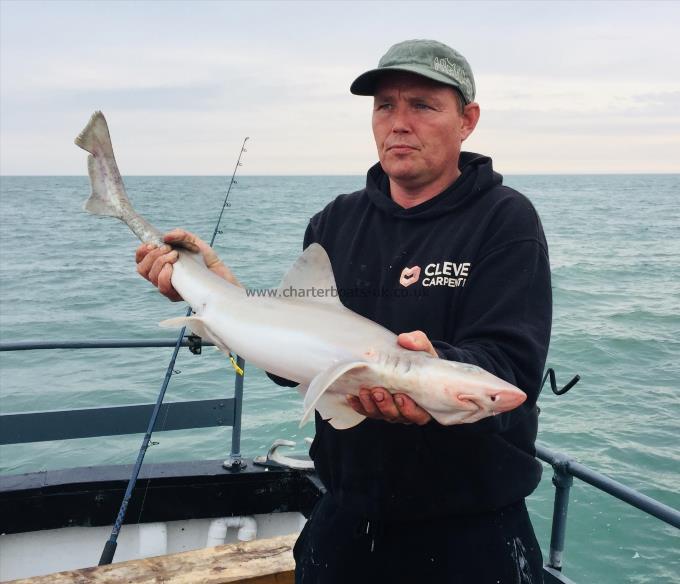 9 lb Starry Smooth-hound by Unknown