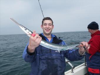 1 lb 15 oz Garfish by Paul Ecclestone