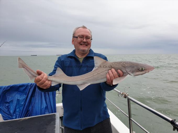 8 lb Starry Smooth-hound by Bob Marshall