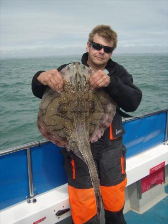 13 lb 4 oz Undulate Ray by Steve Clark