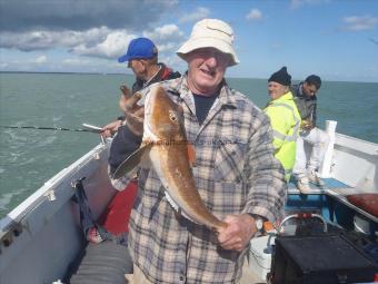 3 lb 8 oz Tub Gurnard by Vic