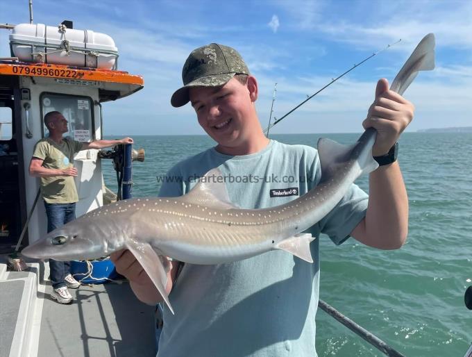 9 lb Starry Smooth-hound by Unknown